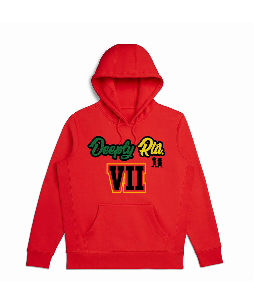 DR -VII COLORFUL HOODIE